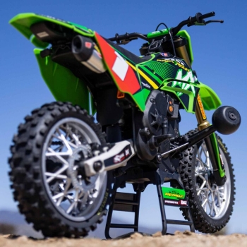 LOS06002 1/4 Promoto-MX Motorrad RTR Pro Circuit